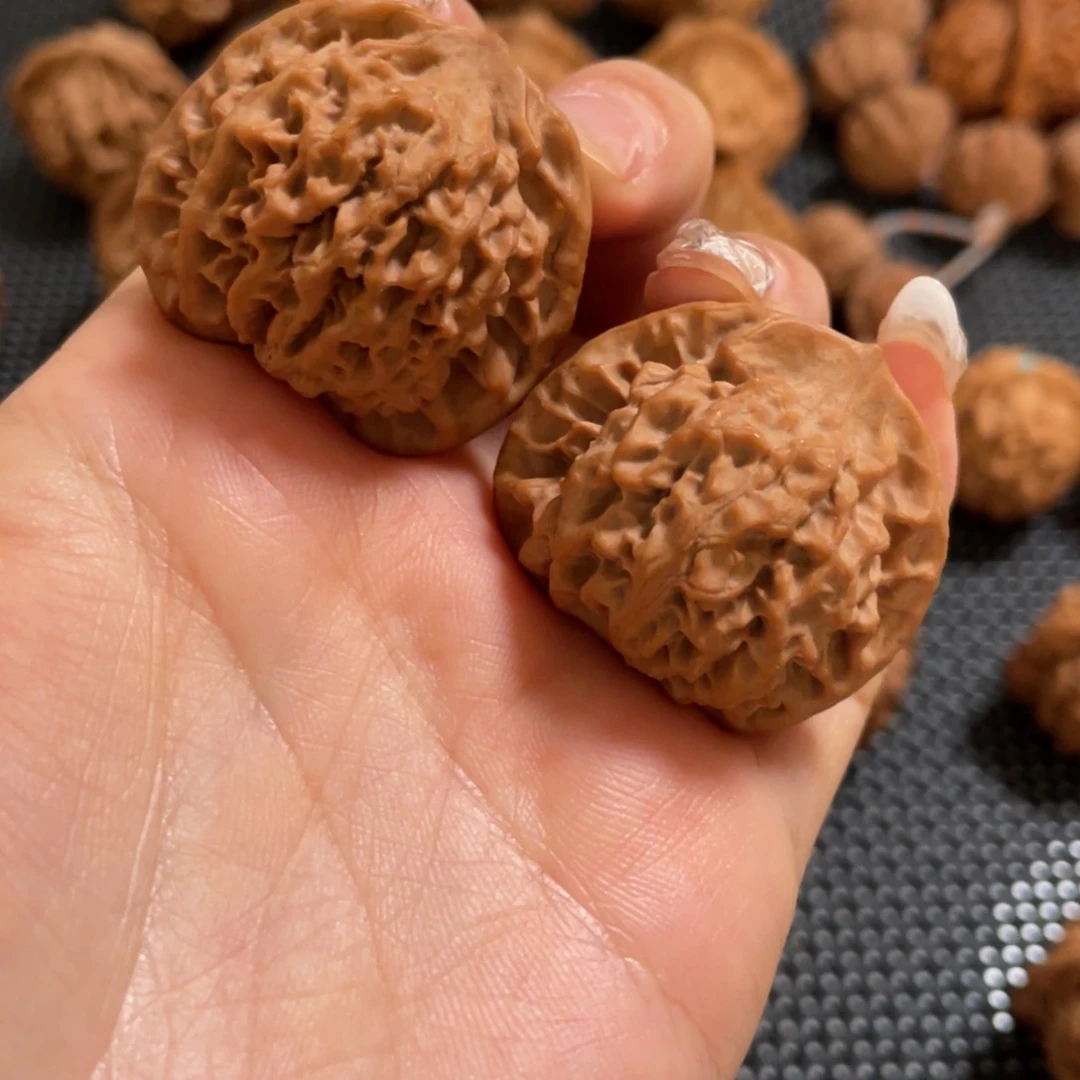 曾***生秦岭神树协调成员国