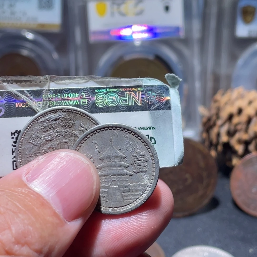 铜通古博今251128范范03