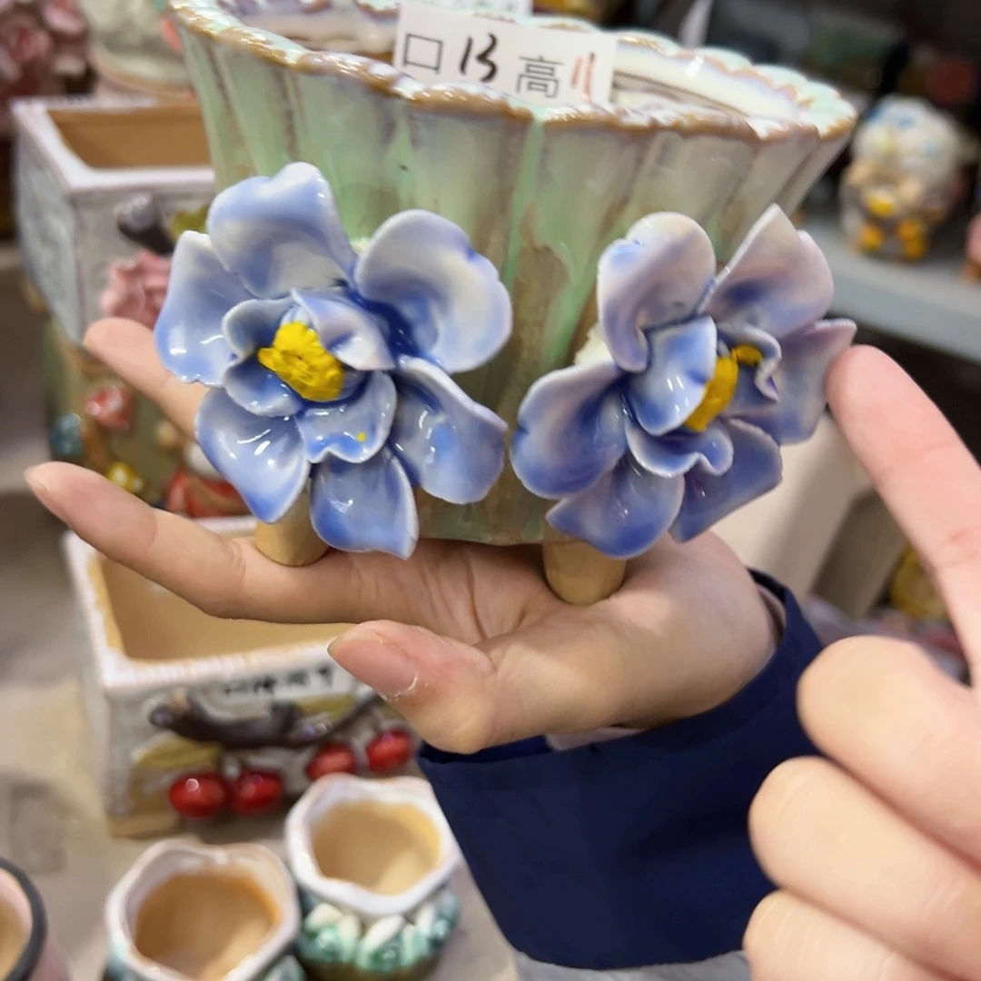 本场直播满100赠送一个花盆