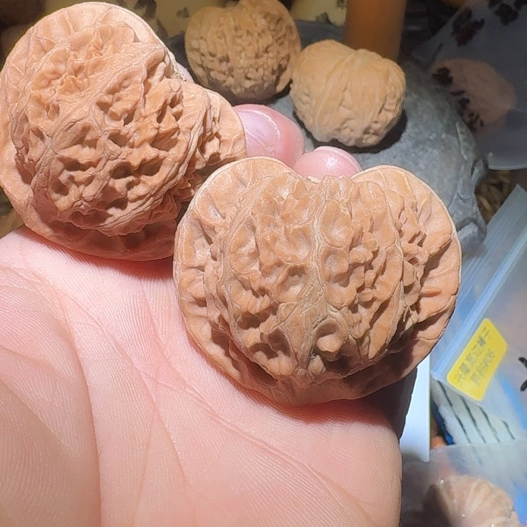 被***中核桃45尺全品山地宫灯