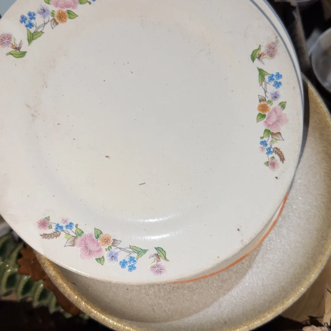 淡***燃老货你是谁呀你是