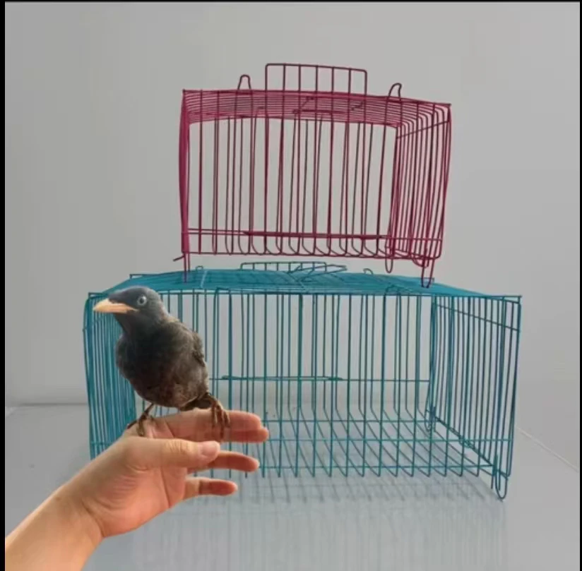 手养黑巴哥运输专用手提小鸟笼笼子鸟笼