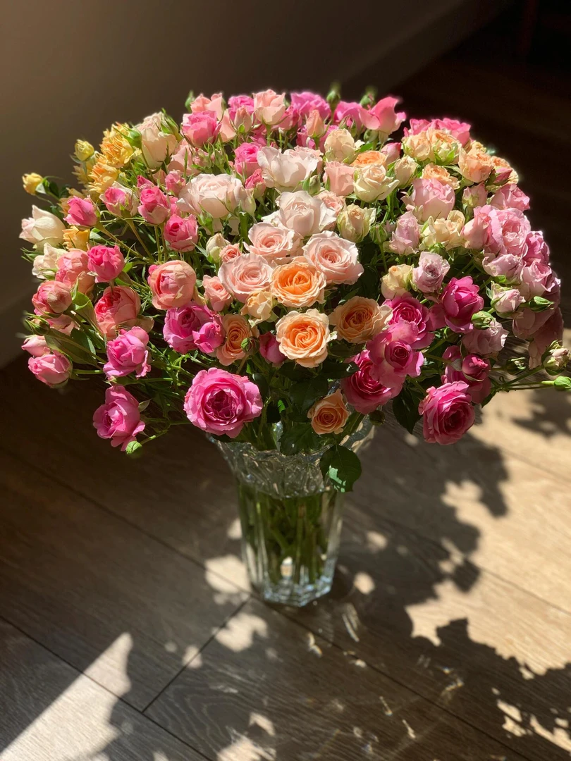 七彩多头泡泡玫瑰鲜花花束家用水养云南昆明基地直发混色多头玫瑰