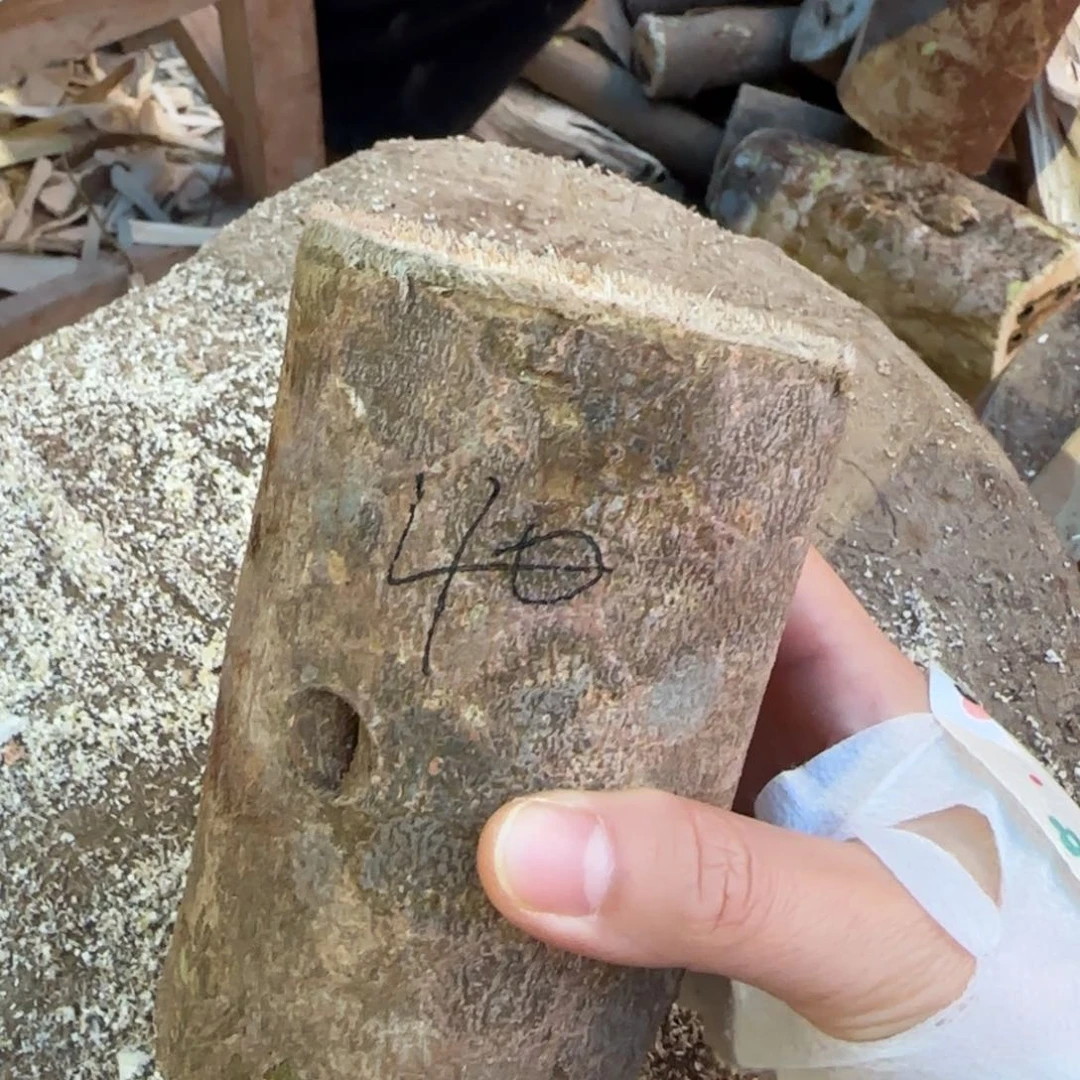 树脂制品40号奇楠原木虫漏一个