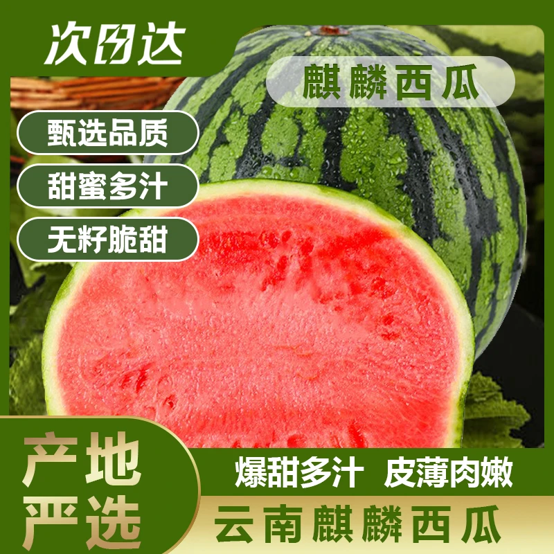 【明天到】云南西瓜麒麟脆爽多汁4-10斤顺丰发货又到了吃西瓜的季节云南省