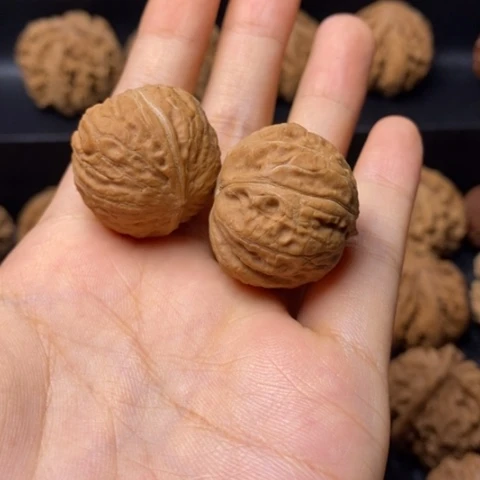 把件文玩核桃龙*文玩28