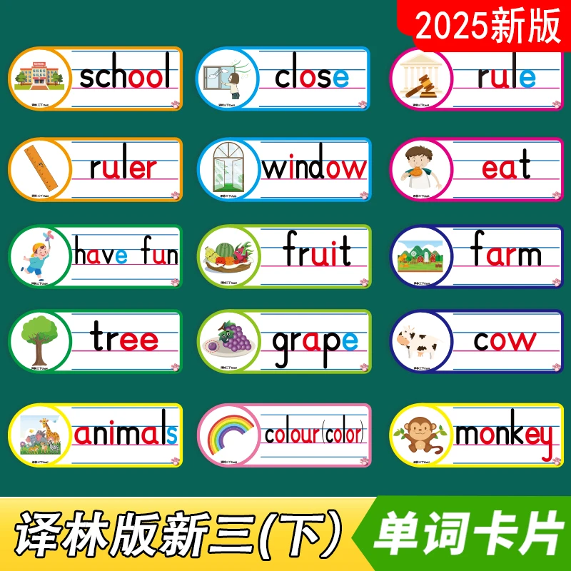 2025新苏教译林版小学英语三年级下册四线三格单词卡片公开课教具