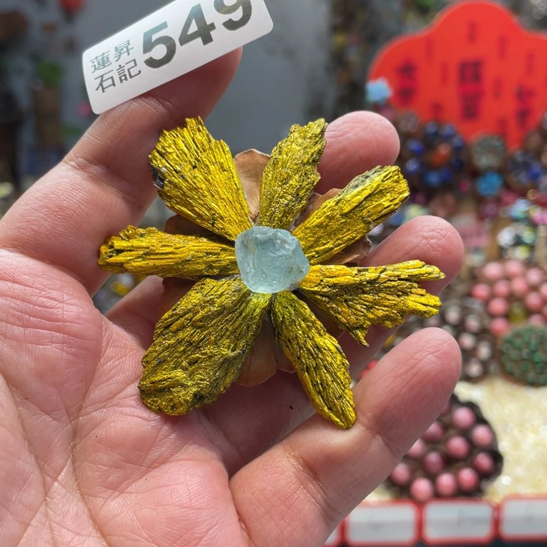 核桃木/黑胡桃（胡桃木）艺*549