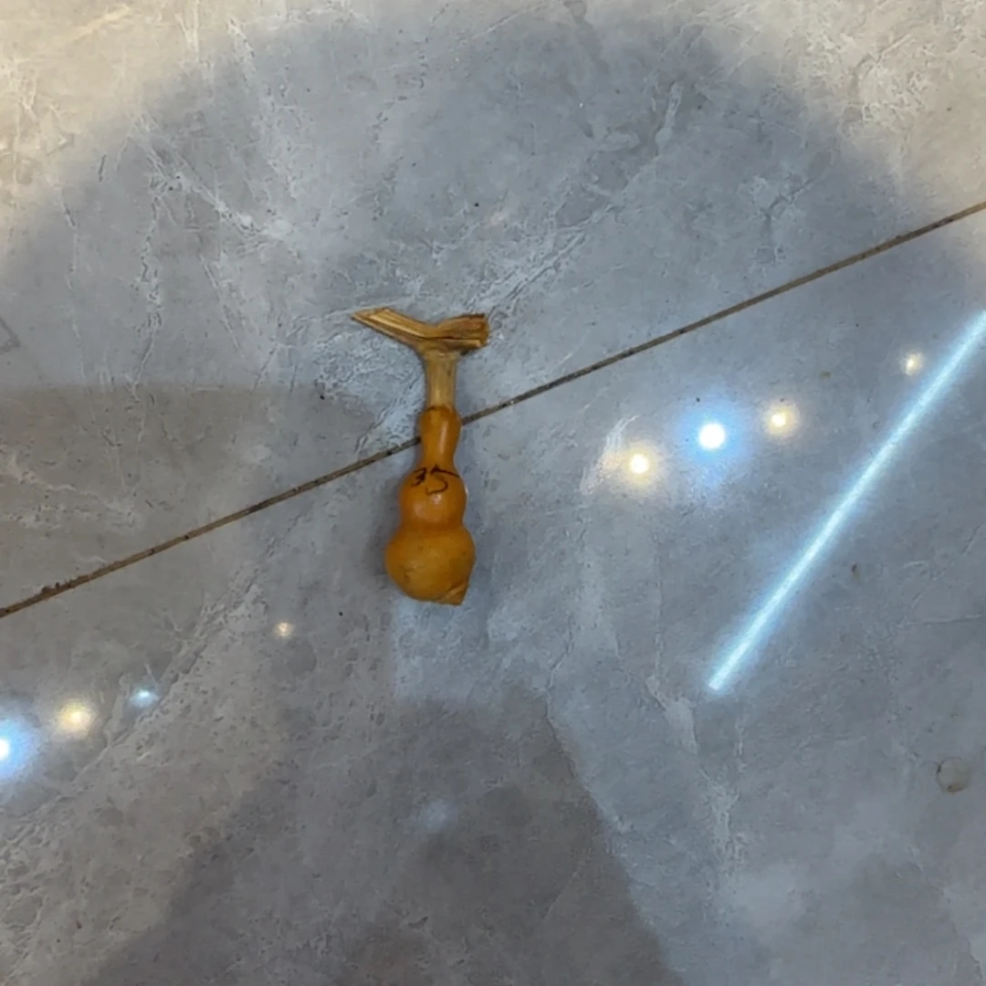 素***歡哈哈哈哈哈哈哈哈哈哈哈哈
