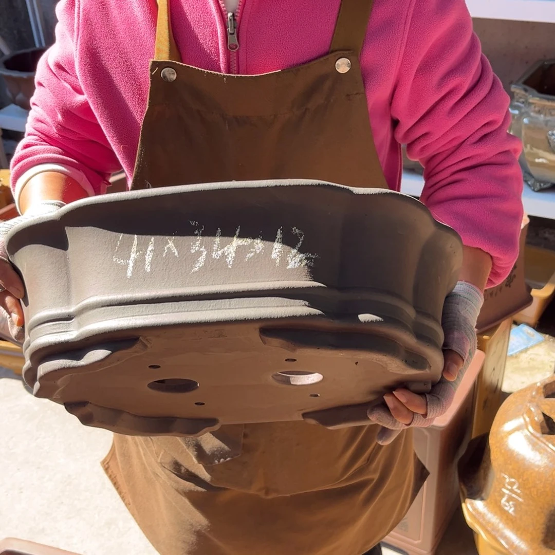 花盆紫砂盆景艺术