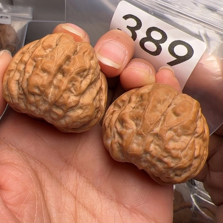 核桃39边42肚389号蛙