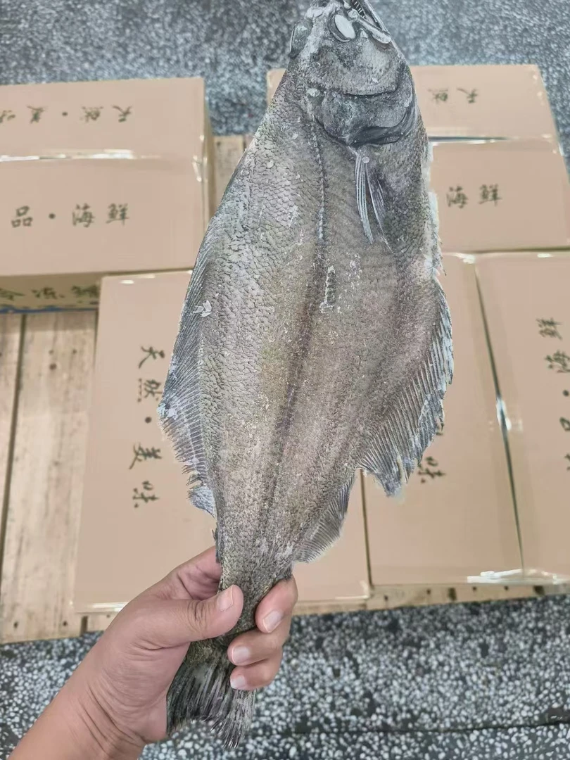 【整条鲽鱼】 深海鲽鱼五斤[3-5条]  现称现发