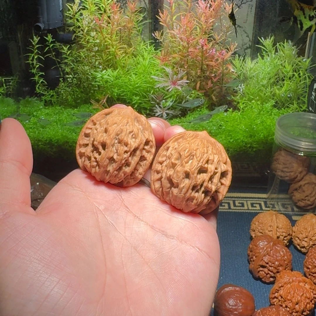 604号39麦穗虎头文玩核桃