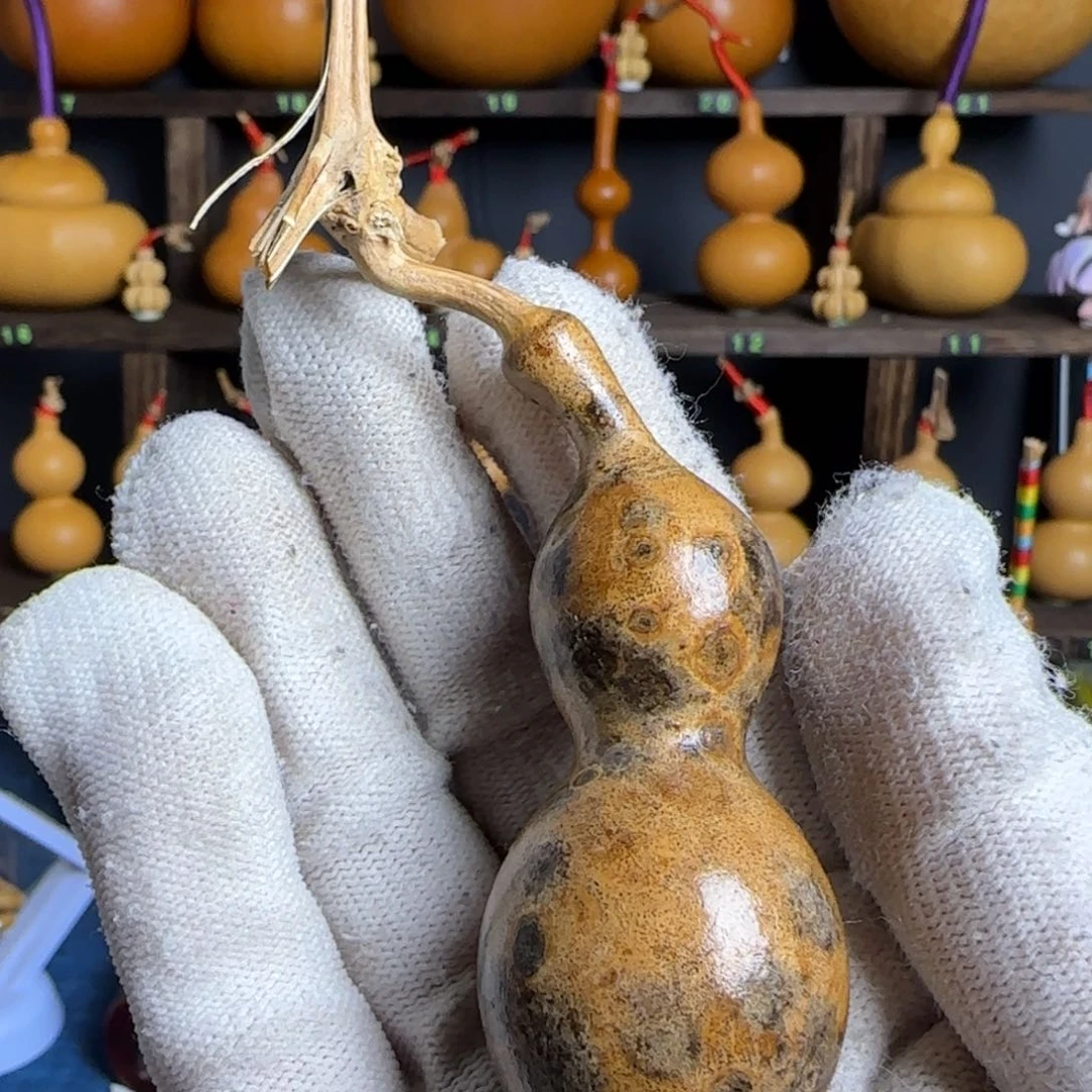 葫芦葫芦葫芦葫芦