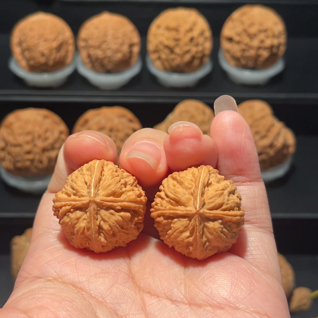 头***家全品，精品，27灯笼四棱129