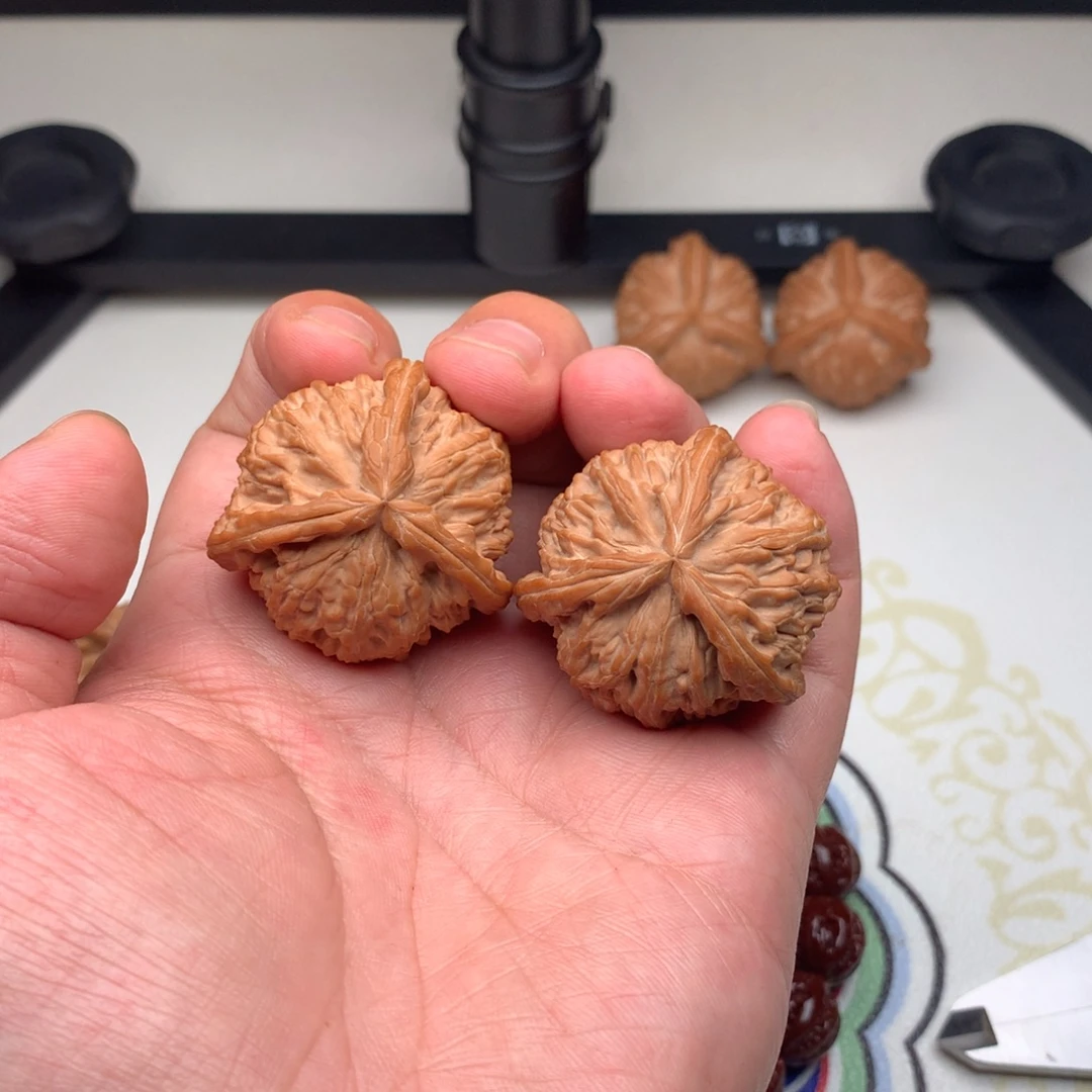 文玩核桃把件白狮子奔40