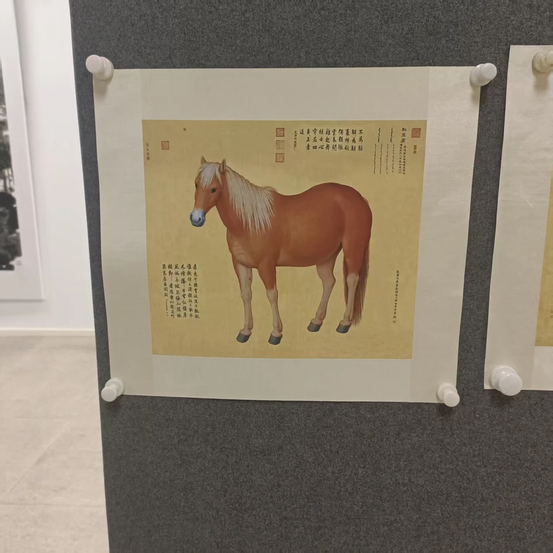 郎世宁版画马4号