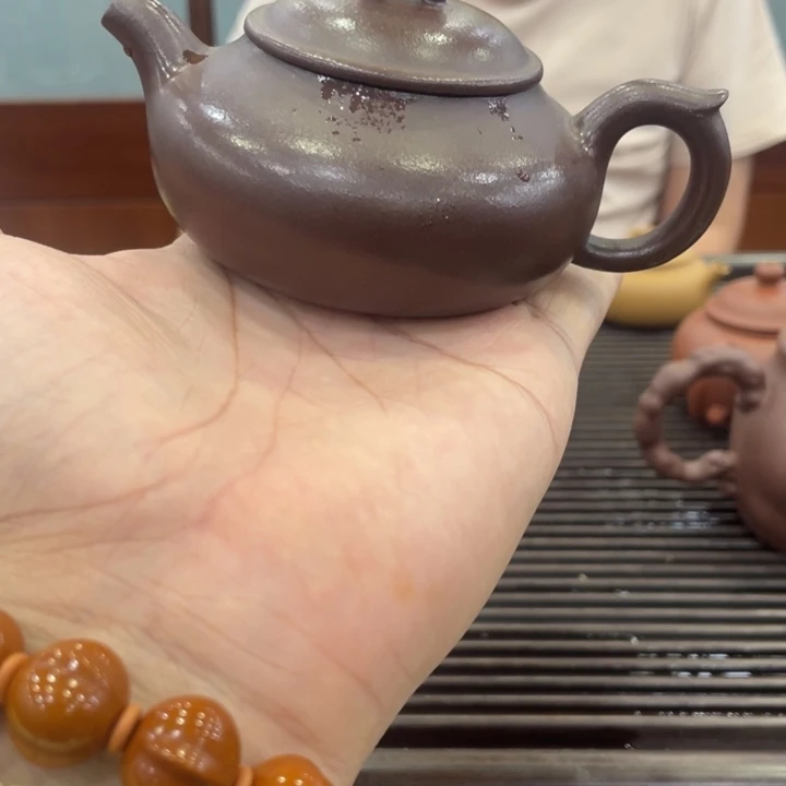 茶壶紫砂哈哈哈哈哈这个综艺节目真的