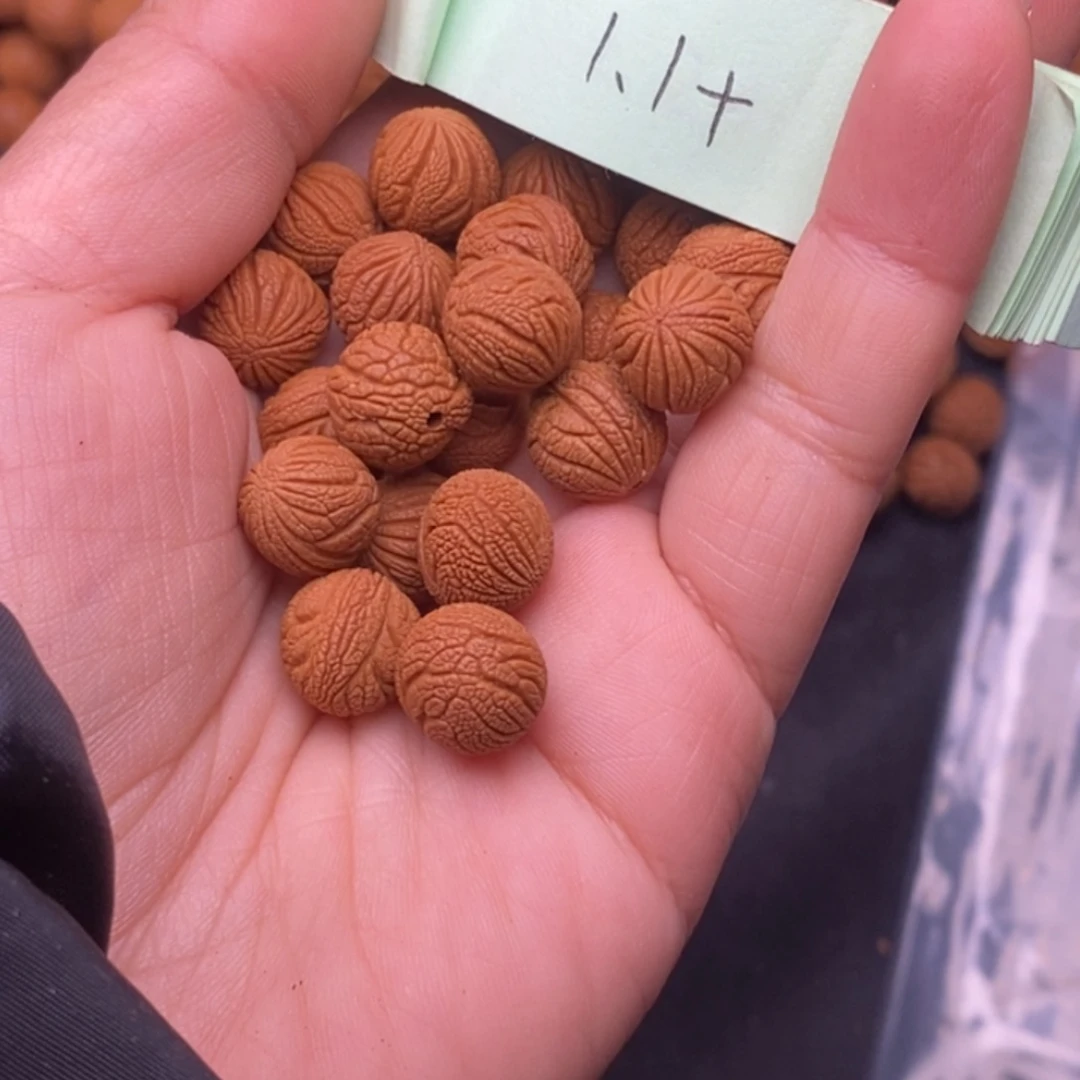 梦***飞秦岭龙纹桃核21颗
