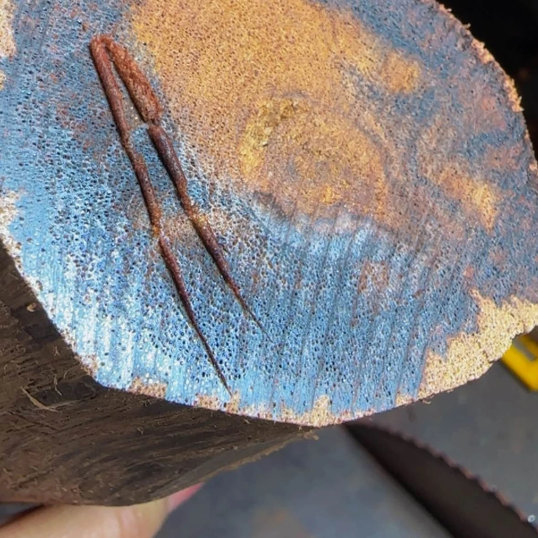 【闪购商品】降真香其他小*降真香