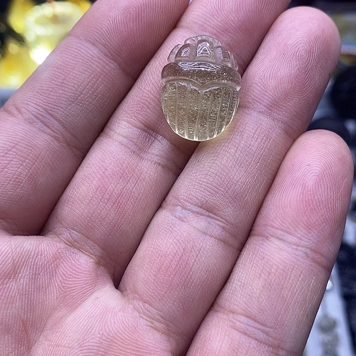 玻璃非金属利比亚圣甲虫