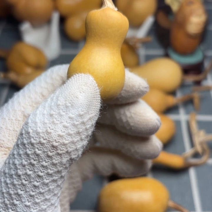 赵***天6666666666666666