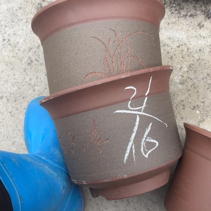 花盆紫砂紫砂的花