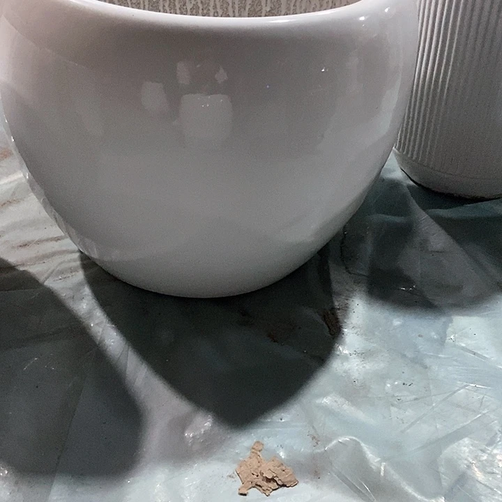 高温烧制白苹果特大一个