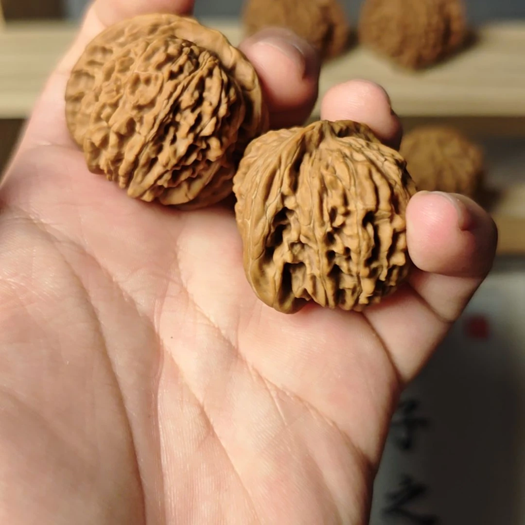 景****瓷40红皮篓子嘎嘎板正