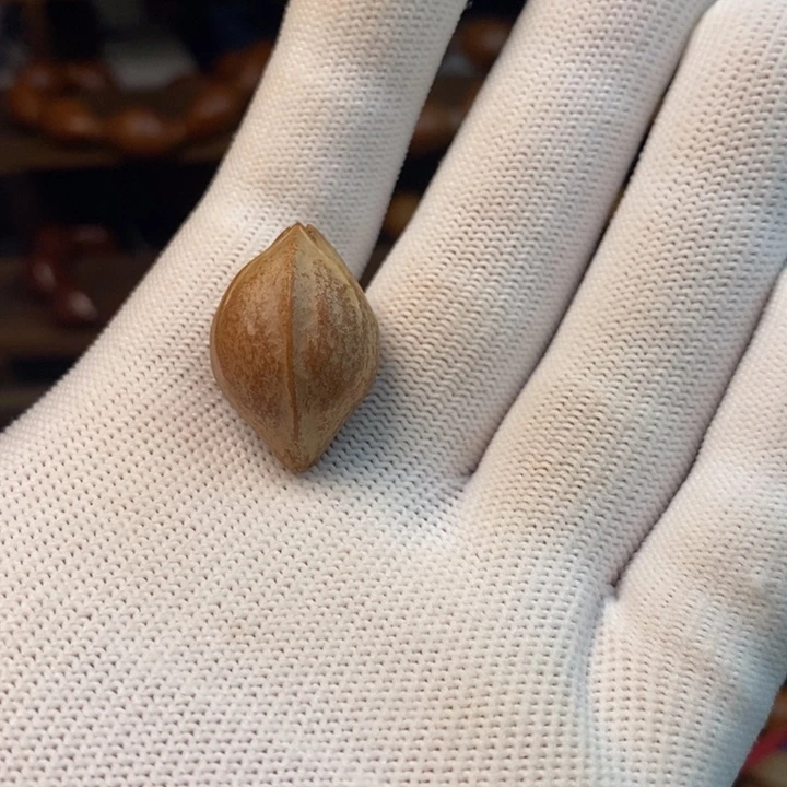 张***翔橄榄核手串/手链1.7铁核