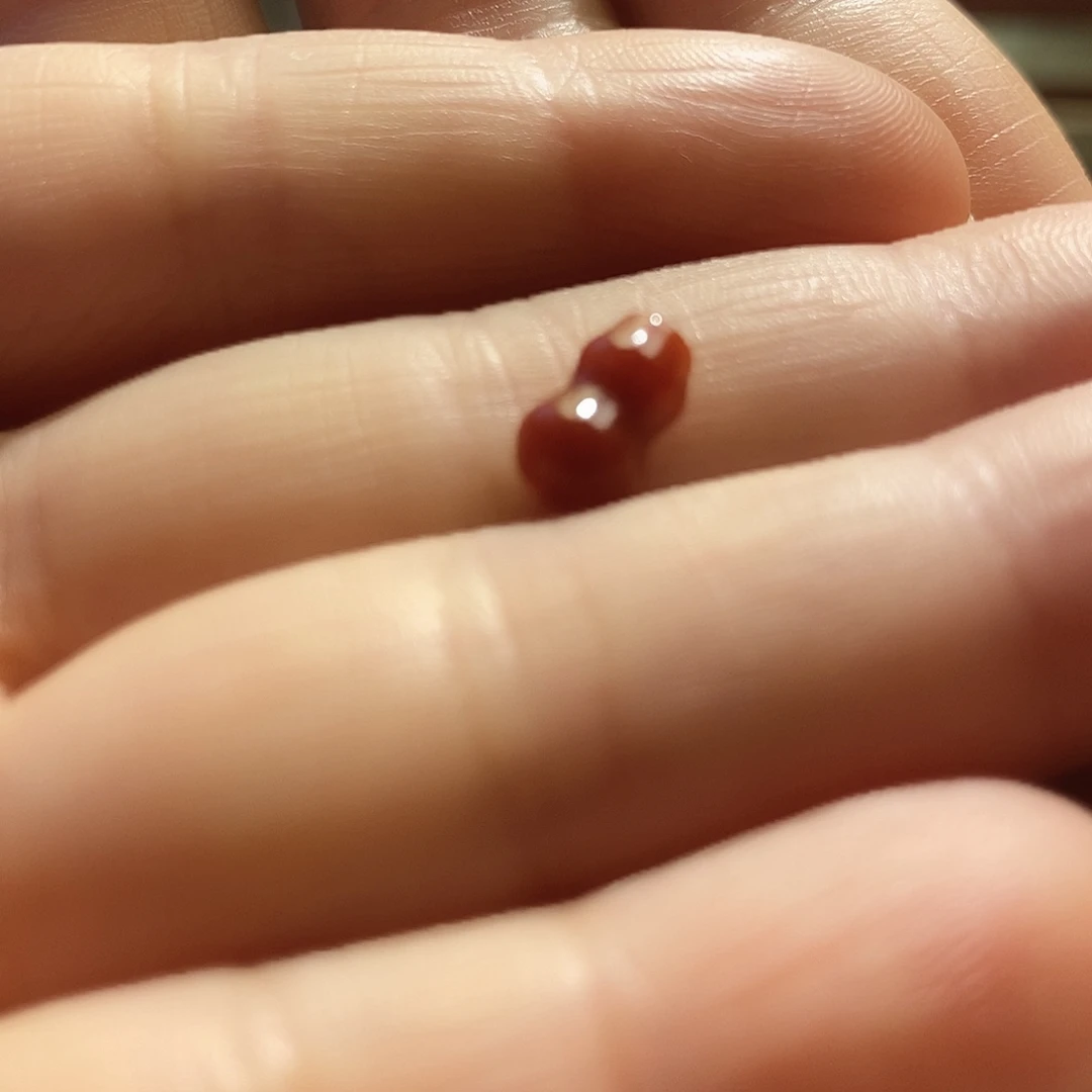 南红玛瑙未镶嵌配饰