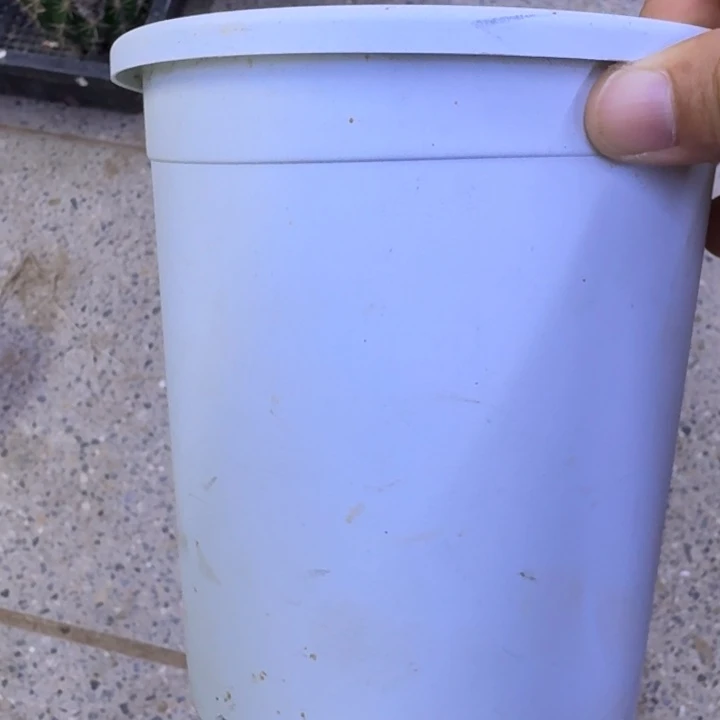 小灰白圆盆2个口径15公分左右无托盘，20包邮