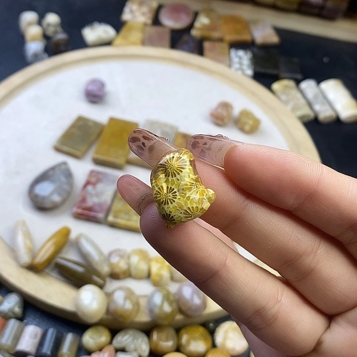 硅化珊瑚（珊瑚玉）未镶嵌颈饰25