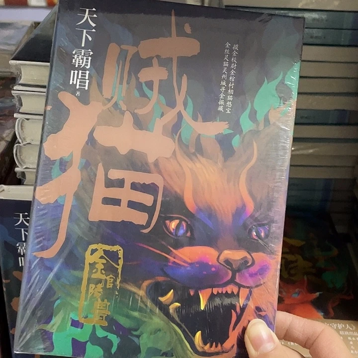 贼猫  精装带塑封