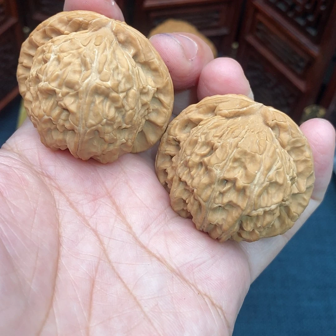 文玩核桃把件白狮子43尺