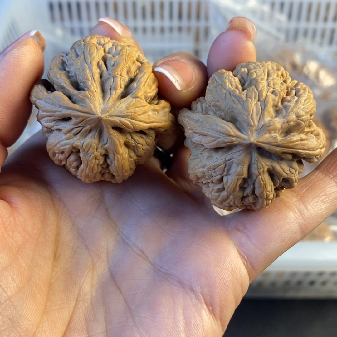 文玩核桃把件40粗筋38.8