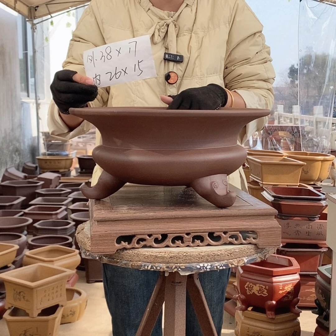 紫砂花盆紫砂花盆