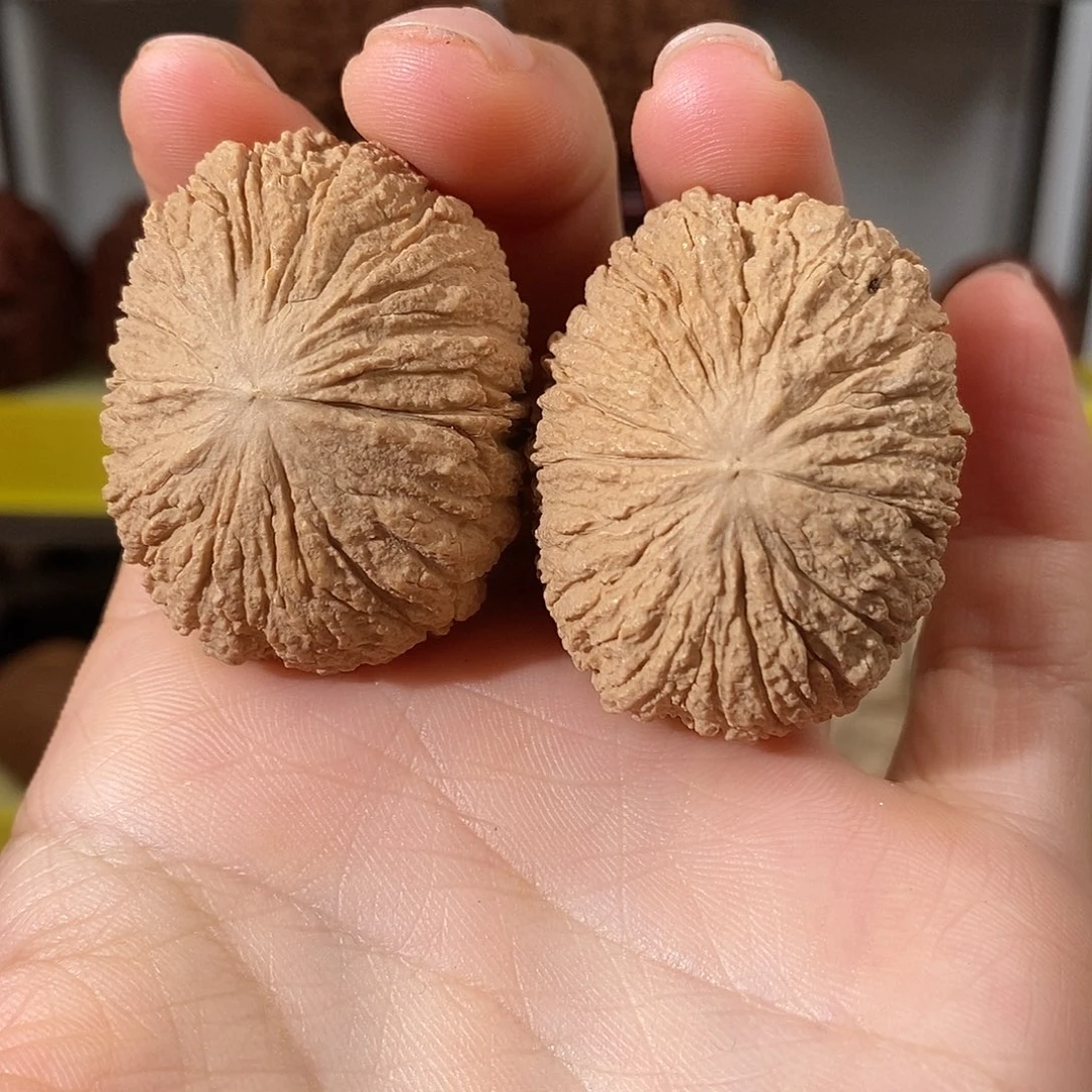 文玩核桃把件枣****店猴头38