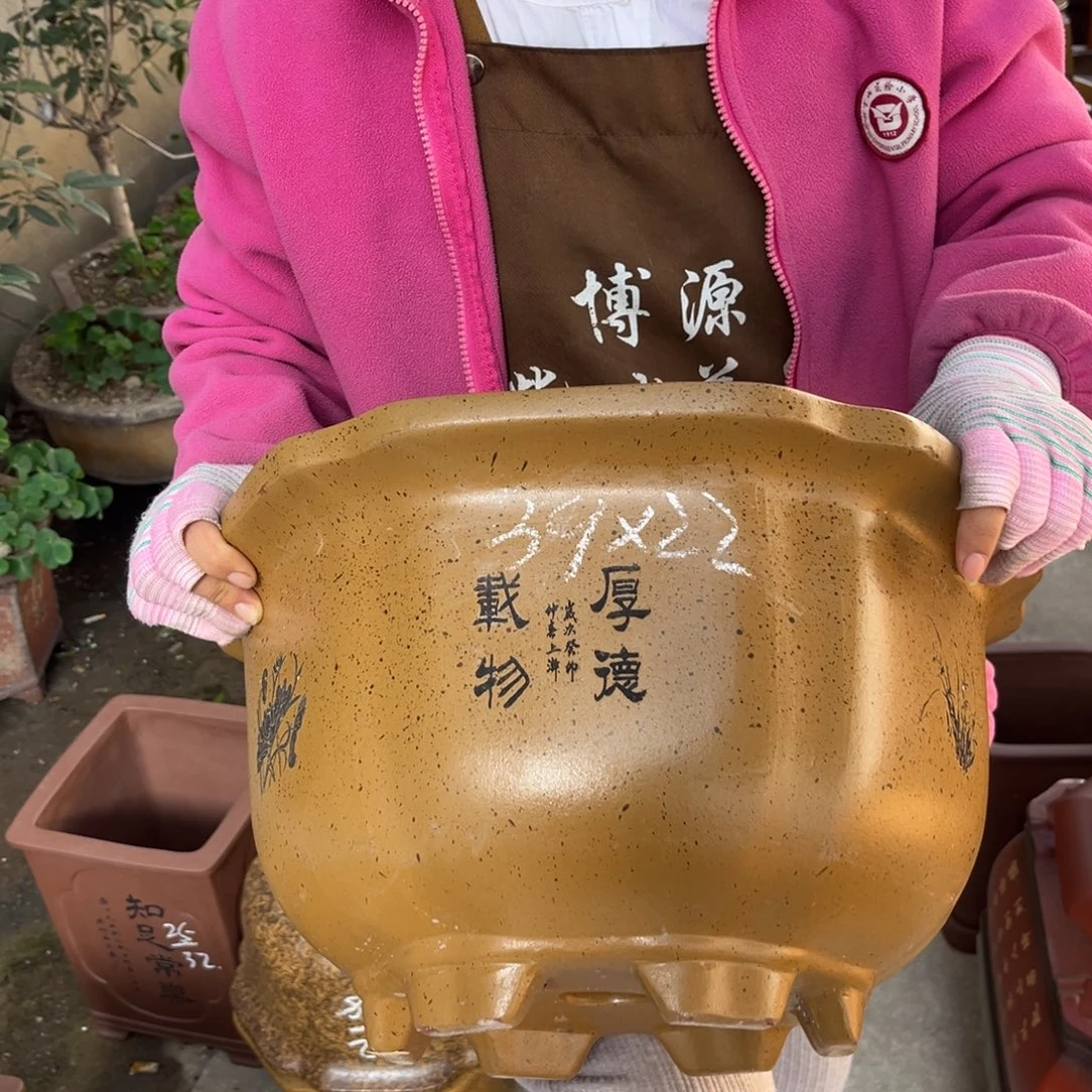 花盆紫砂盆景艺术