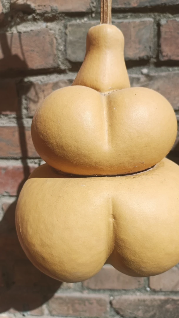 中号花堆葫芦，完美器形，厚皮。