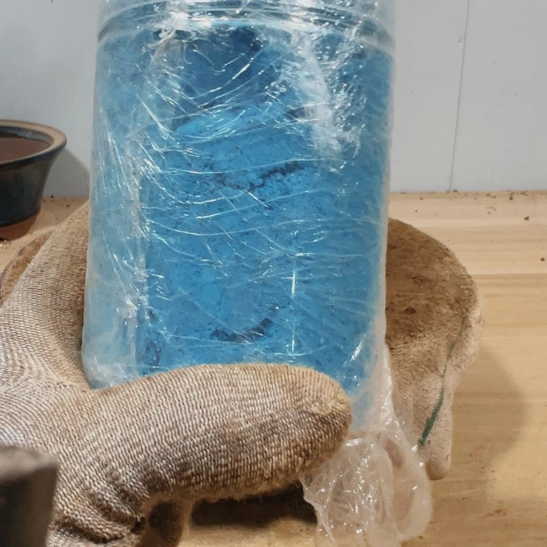 盆景皋月杜鹃叶面肥