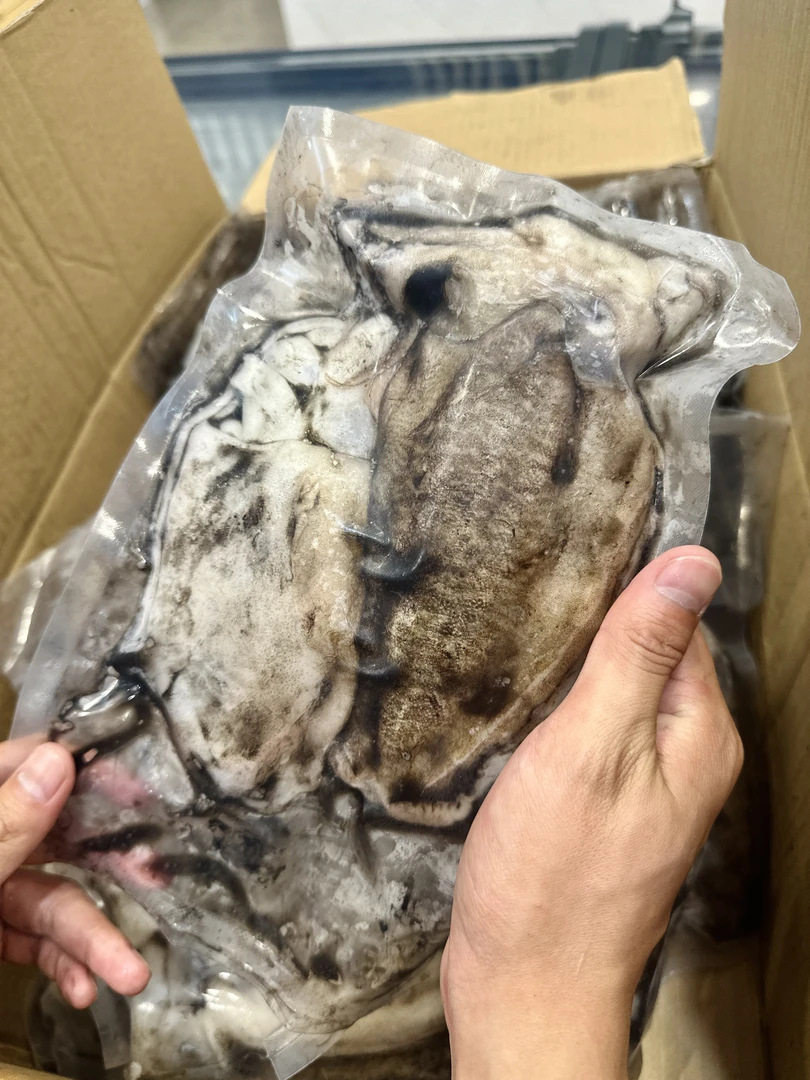宇很鲜【东海野生干板大墨鱼】船冻急冻大目鱼 顺丰冷链
