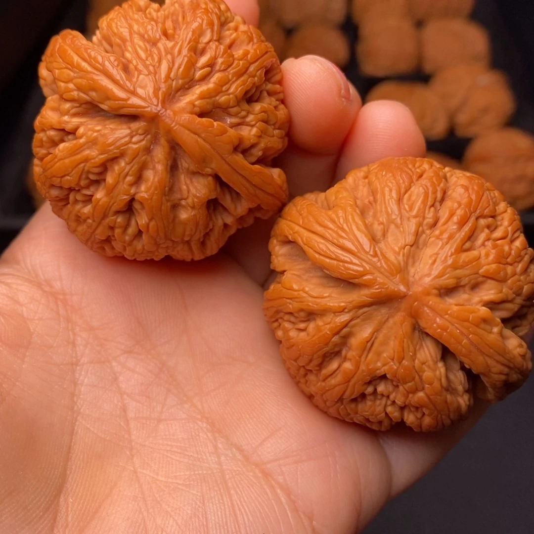 文玩核桃把件秦岭野生核桃