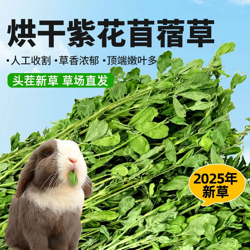 烘干苜蓿草干草兔子新草龙猫荷兰猪豚鼠食用干牧草紫花粮草苜宿草