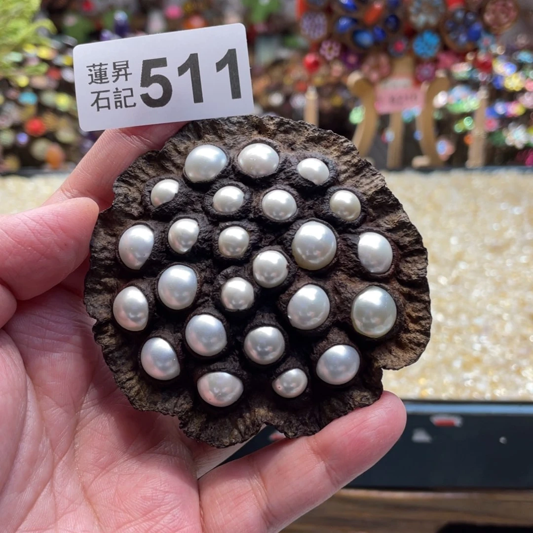 核桃木/黑胡桃（胡桃木）511