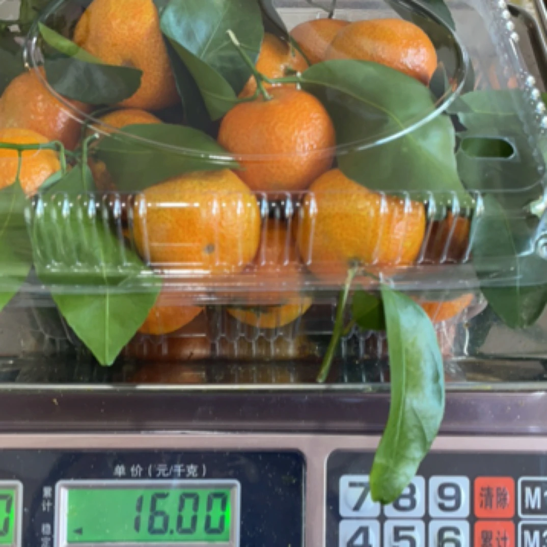 沙糖桔很好吃6.8一斤