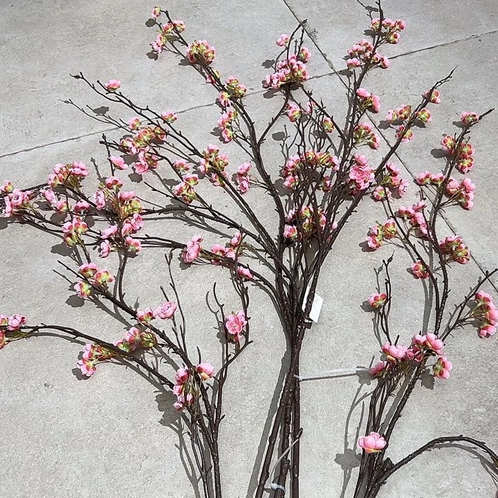 一口价 五只梅花样品