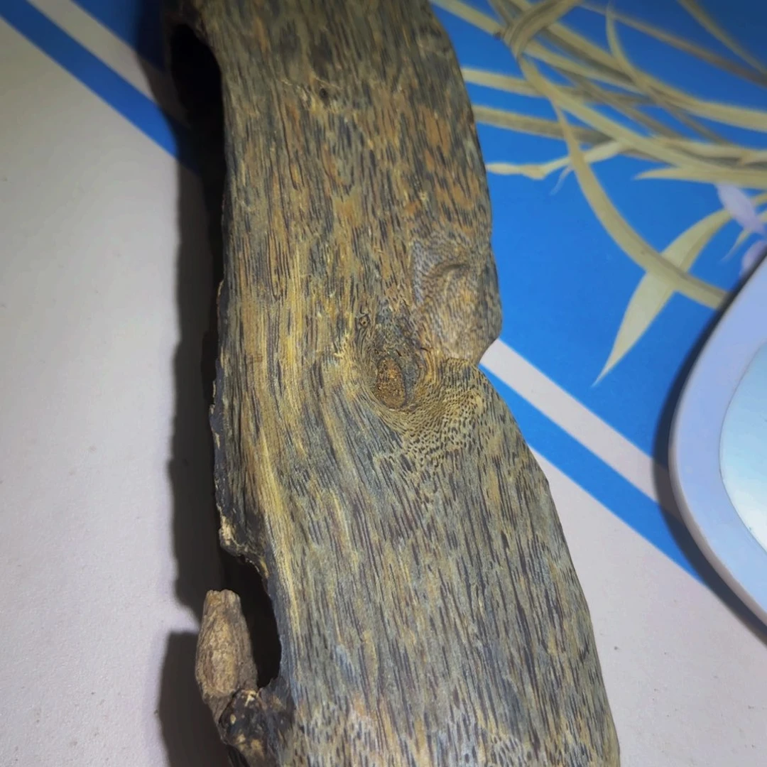 沉香手把件小***酒沉香奇楠土埋老料242克