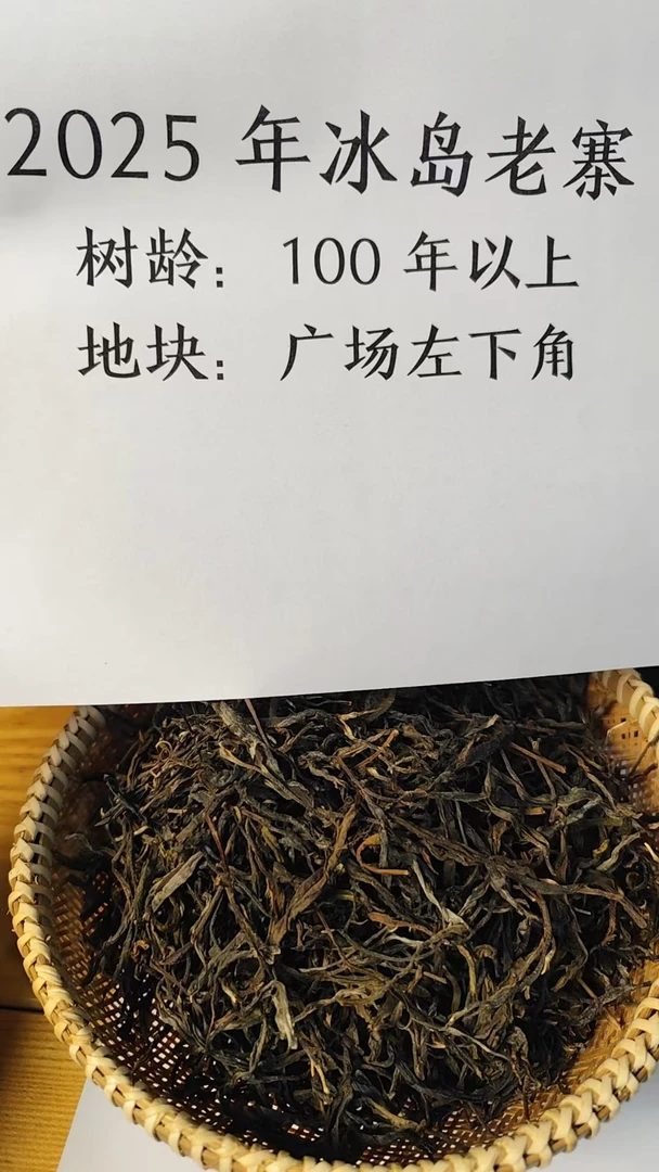 滇瑞2025年冰岛老寨古树普洱茶生茶散茶