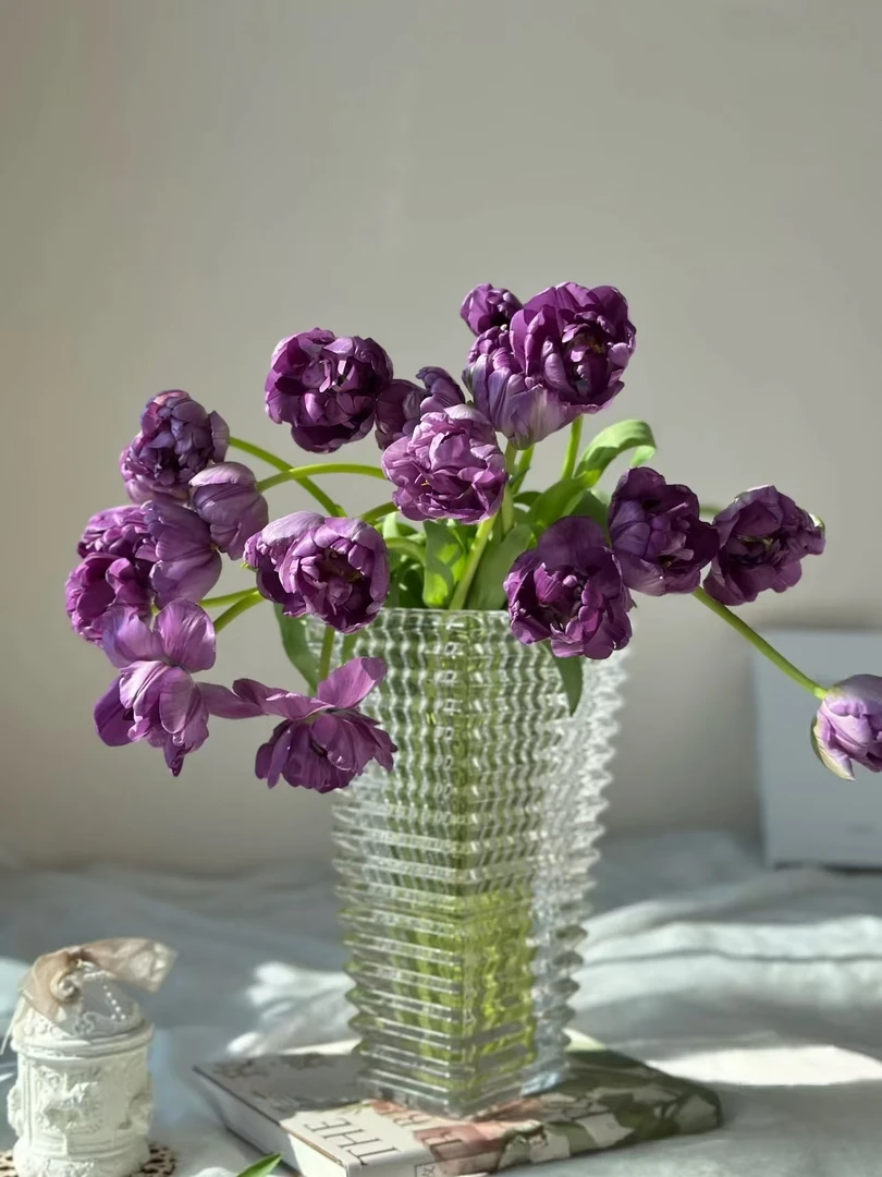 蓝莓挞郁金香一把（一把10支） 批发花店摆地摊直发一手货源